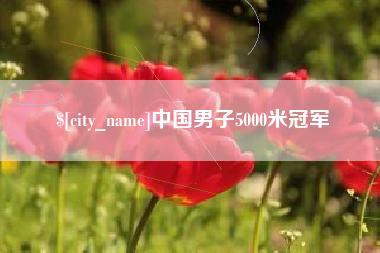 衡东中国男子5000米冠军