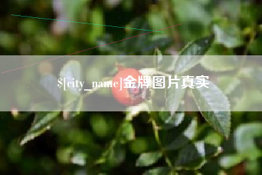 衡东金牌图片真实