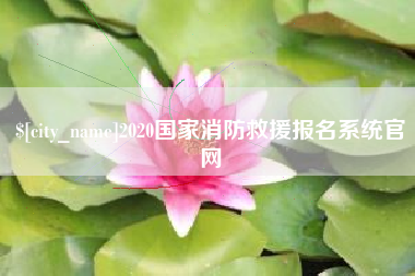 衡东2020国家消防救援报名系统官网