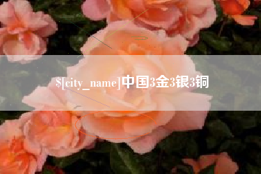 衡东中国3金3银3铜