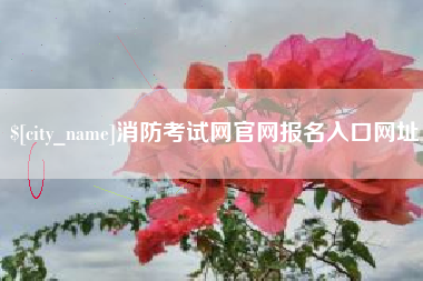 衡东消防考试网官网报名入口网址
