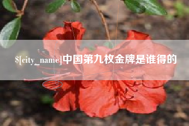 衡东中国第九枚金牌是谁得的