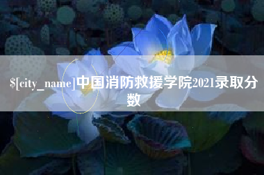 衡东中国消防救援学院2021录取分数