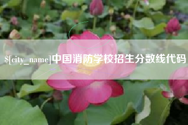 衡东中国消防学校招生分数线代码