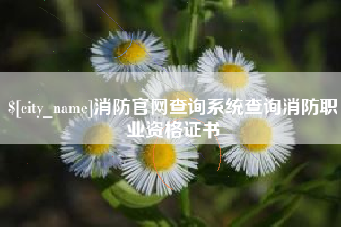 衡东消防官网查询系统查询消防职业资格证书