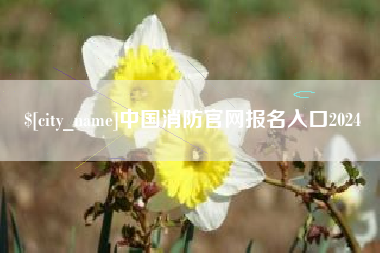 衡东中国消防官网报名入口2024