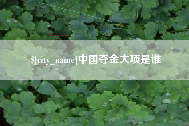 衡东中国夺金大项是谁