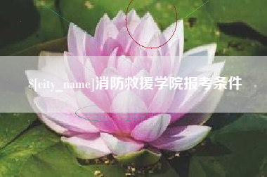 衡东消防救援学院报考条件