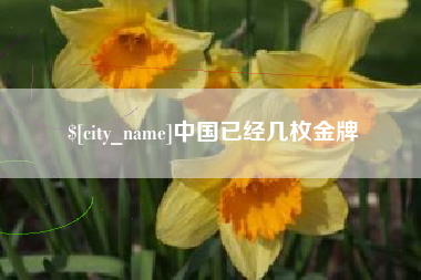 衡东中国已经几枚金牌