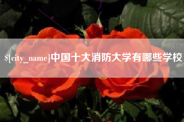 衡东中国十大消防大学有哪些学校