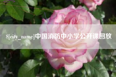 衡东中国消防中小学公开课回放