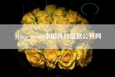 衡东中国执行信息公开网