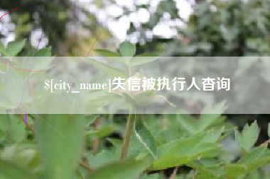 衡东失信被执行人杳询