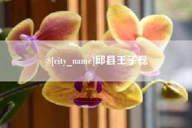 衡东邱县王子磊