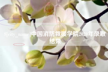 衡东中国消防救援学院2020年录取结果