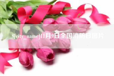 衡东11月9日全国消防日图片