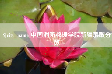 衡东中国消防救援学院新疆录取分数