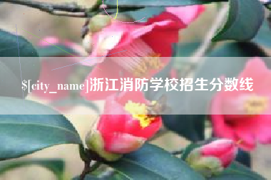 衡东浙江消防学校招生分数线