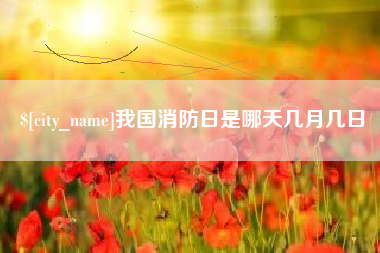 衡东我国消防日是哪天几月几日