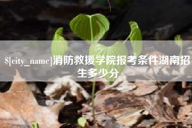 衡东消防救援学院报考条件湖南招生多少分