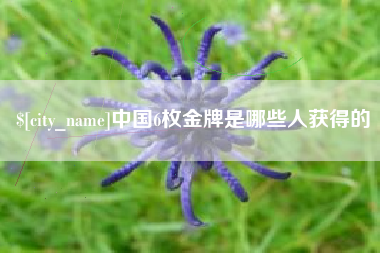 衡东中国6枚金牌是哪些人获得的