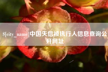 衡东中国失信被执行人信息查询公开网址