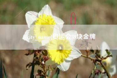 衡东奥运会39块金牌