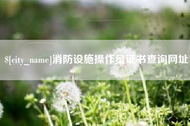 衡东消防设施操作员证书查询网址