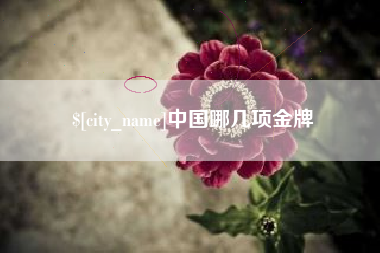 衡东中国哪几项金牌