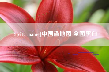衡东中国省地图 全图黑白