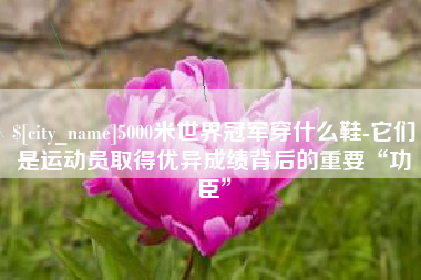衡东5000米世界冠军穿什么鞋-它们是运动员取得优异成绩背后的重要“功臣”