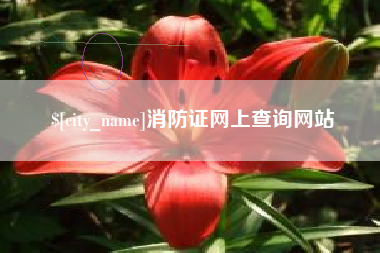 衡东消防证网上查询网站