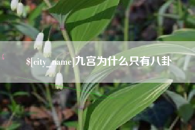 衡东九宫为什么只有八卦