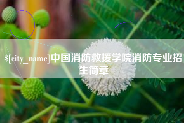 衡东中国消防救援学院消防专业招生简章