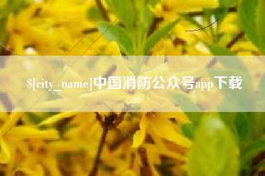 衡东中国消防公众号app下载