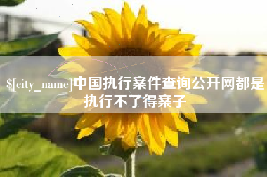 衡东中国执行案件查询公开网都是执行不了得案子