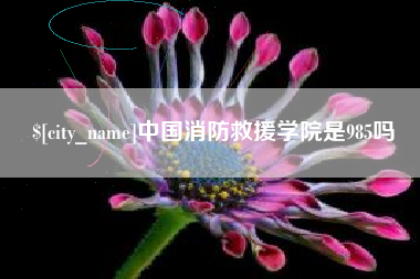 衡东中国消防救援学院是985吗