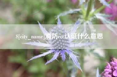 衡东消防ccc认证什么意思