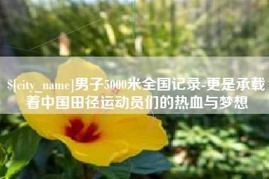 衡东男子5000米全国记录-更是承载着中国田径运动员们的热血与梦想