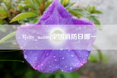 衡东全国消防日哪一