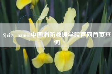 衡东中国消防救援学院官网首页查询
