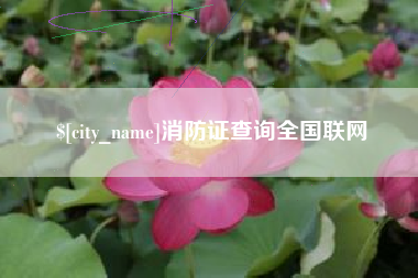 衡东消防证查询全国联网
