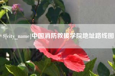 衡东中国消防救援学院地址路线图