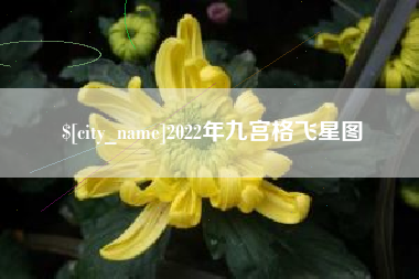 衡东2022年九宫格飞星图