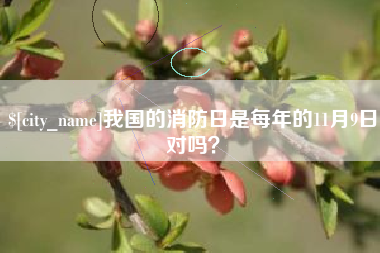 衡东我国的消防日是每年的11月9日对吗？