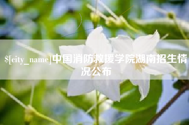 衡东中国消防救援学院湖南招生情况公布
