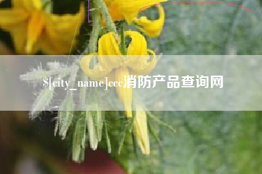 衡东ccc消防产品查询网