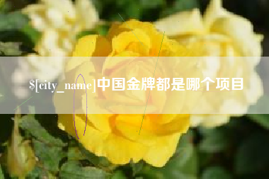 衡东中国金牌都是哪个项目