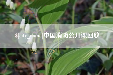 衡东中国消防公开课回放