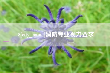 衡东消防专业视力要求